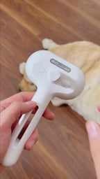 3 In 1 Pet Steam Brush